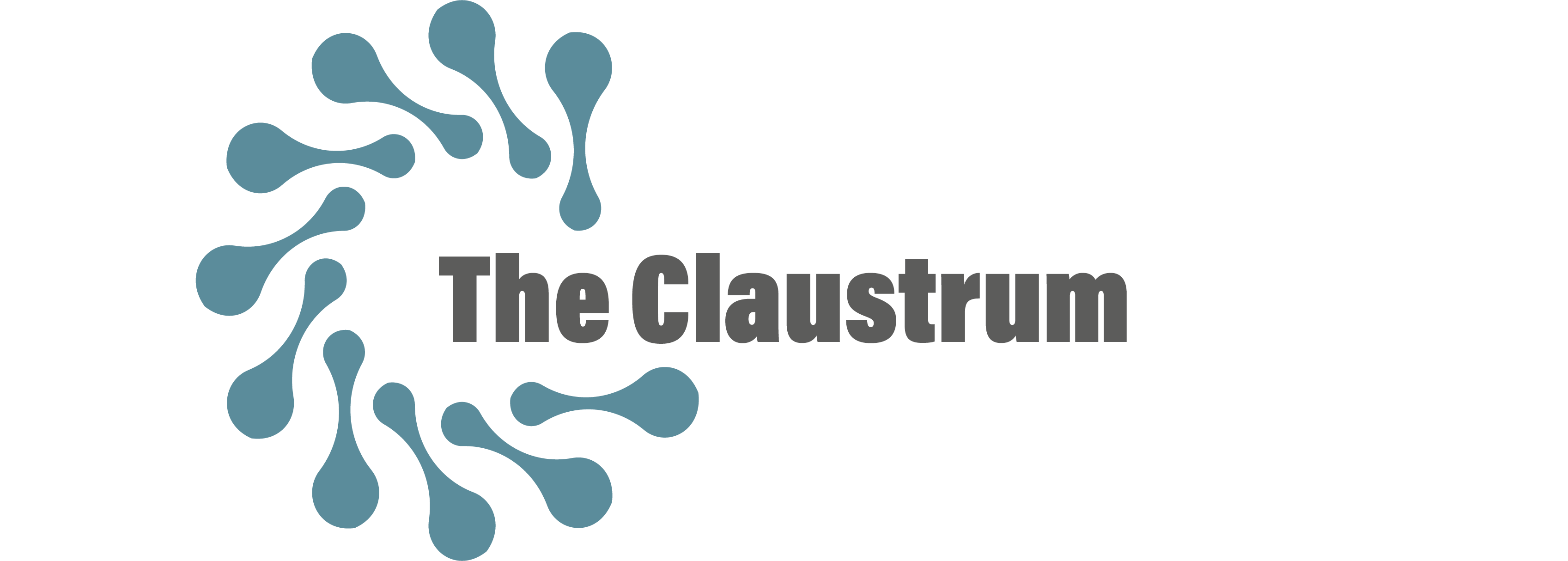 The Claustrum